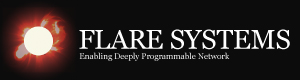 FLARE SYSTEMS FLARE SYSTEMS